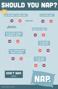 should you nap productivity